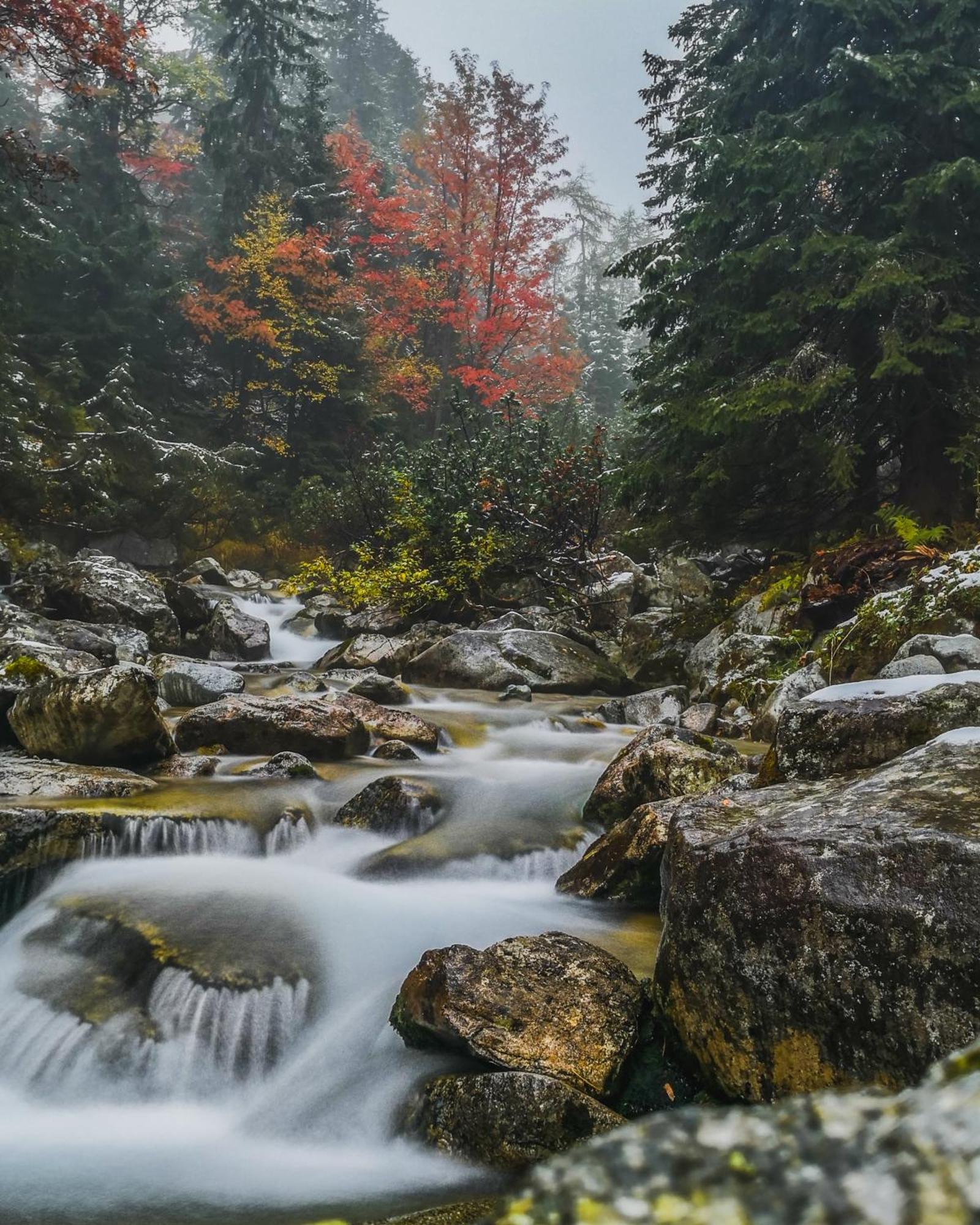 Apartmany Lesy A Luky - V Srdci Tatier Vysoké Tatry Dış mekan fotoğraf