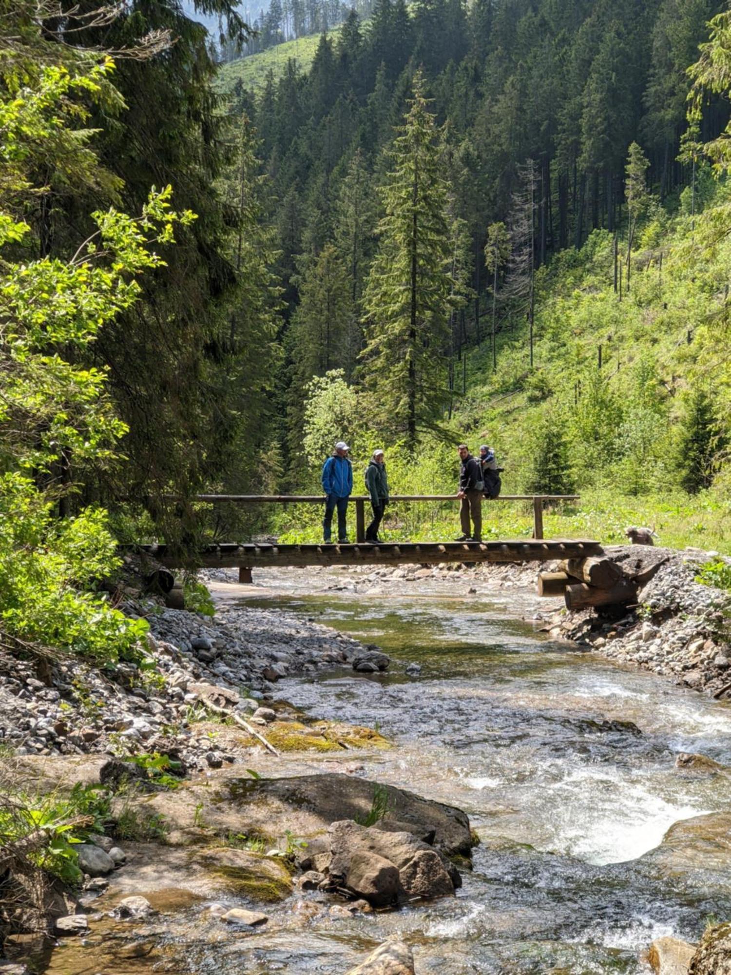 Apartmany Lesy A Luky - V Srdci Tatier Vysoké Tatry Dış mekan fotoğraf