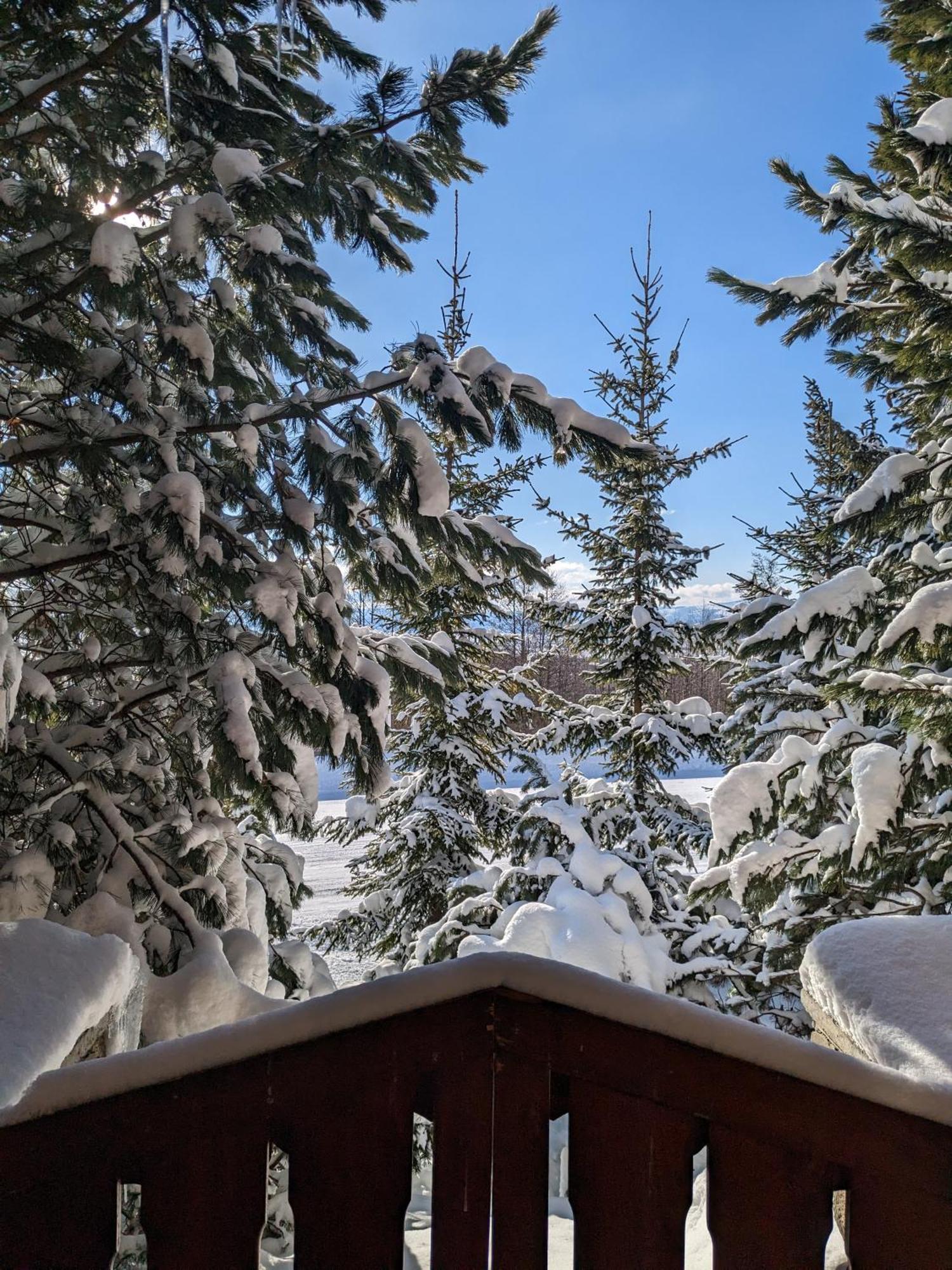 Apartmany Lesy A Luky - V Srdci Tatier Vysoké Tatry Dış mekan fotoğraf
